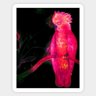 BRIGHT PINK TROPICAL COCKATOO PARROT ISLAND EXOTIC BIRD PALM POSTER PRINT Sticker